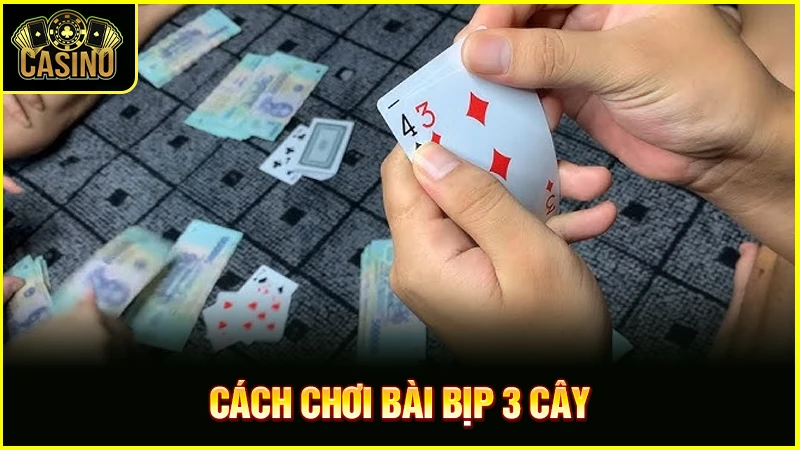 Cách chia bài 3 cây lấy điểm cao | Hướng dẫn đánh bịp 21