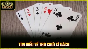Dằn dơ là gì? Xì dách 16, 17 điểm nên dằn hay rút bài? 1