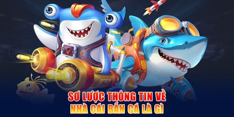Top 10 trang bắn cá đổi thưởng trực tuyến uy tín 23 nhà cái bắn cá